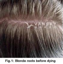 230228154436_Hair-Before Dying-s.jpg